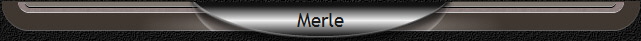 Merle